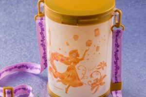 ディズニーのポップコーンバケット バケツ の基本をおさえよう 値段 種類 使い道 洗い方 Disney Life Fun